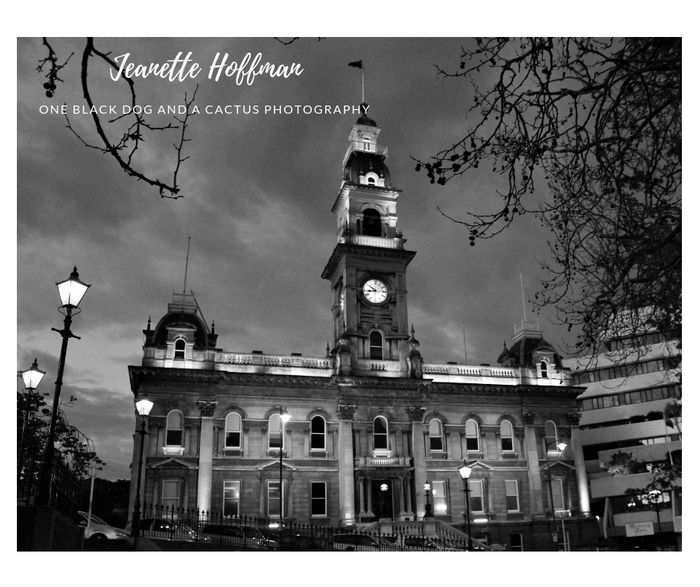 Dunedin Town Hall.