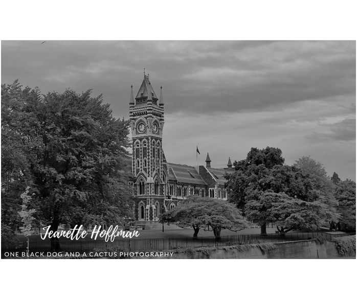 Otago university.