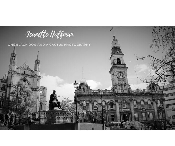 St Pauls Cathedral , Dunedin Town Hall and Robbie Burns.